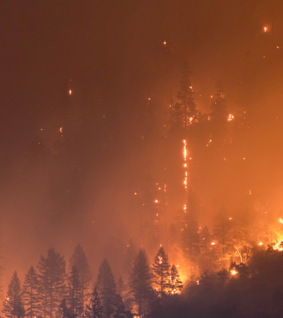 Bushfire